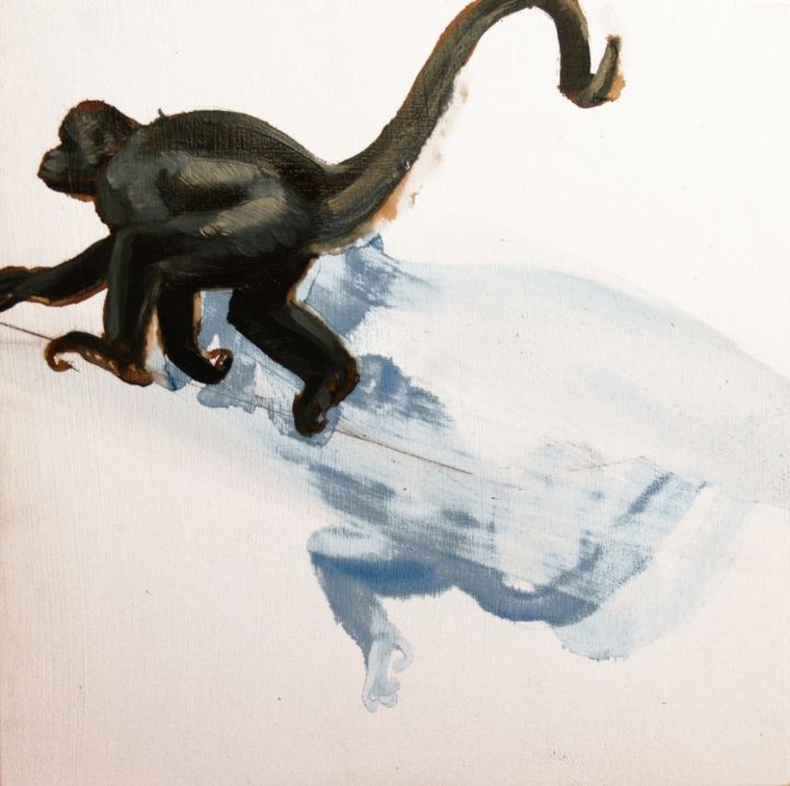 Moving monkey 1